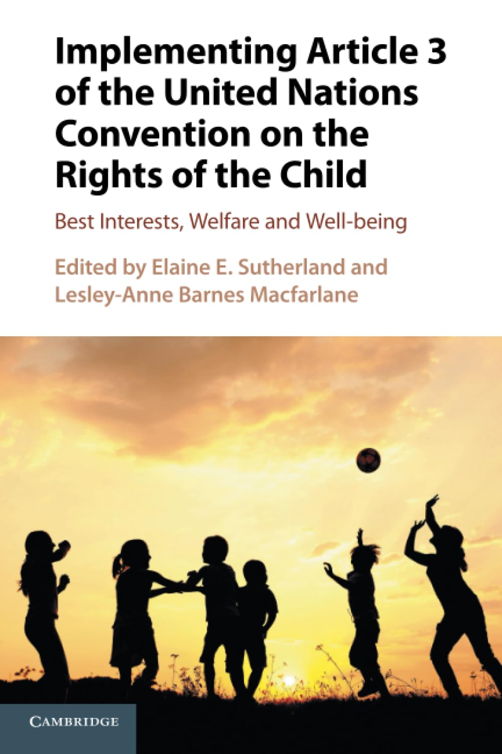 Implementing Article 3 of the UN Convention on the Rights of the Child