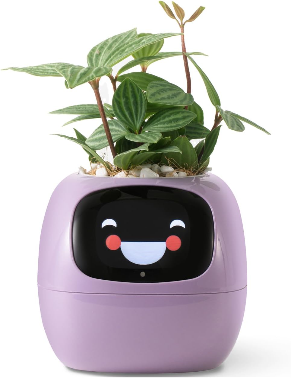 Smart Plant Robot Companion for Effortless Plant Care and Growth