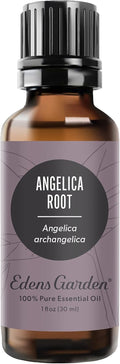 Angelica Root Essential Oil - Pure, Natural, Therapeutic Aroma