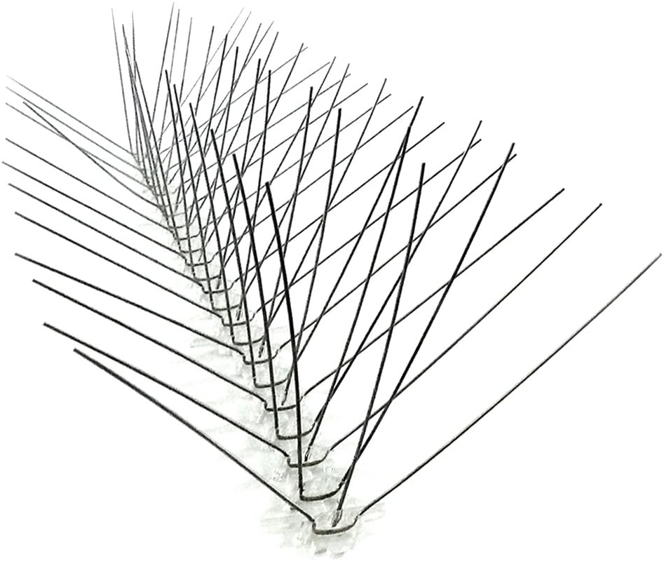 Bird Spikes for Pigeons and Small Birds - Bird-X Stainless Steel
