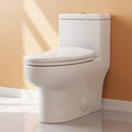 Dual Flush Elongated Toilet with Soft Close Seat for Comfort