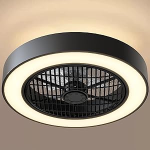 DAFOLOGIA Enclosed Ceiling Fan Light with Remote Control Dimming