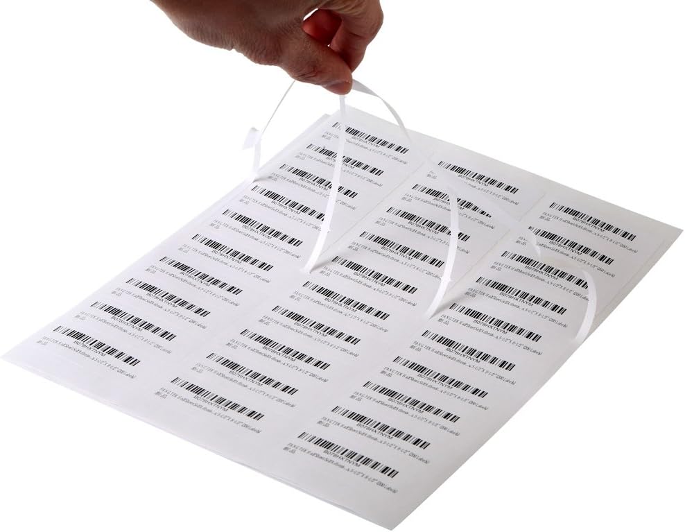 500Sheet Address Labels for Laser and Inkjet Printers - 1in x 2-5/8