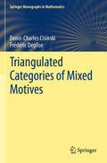 Triangulated Categories of Mixed Motives - Foundational