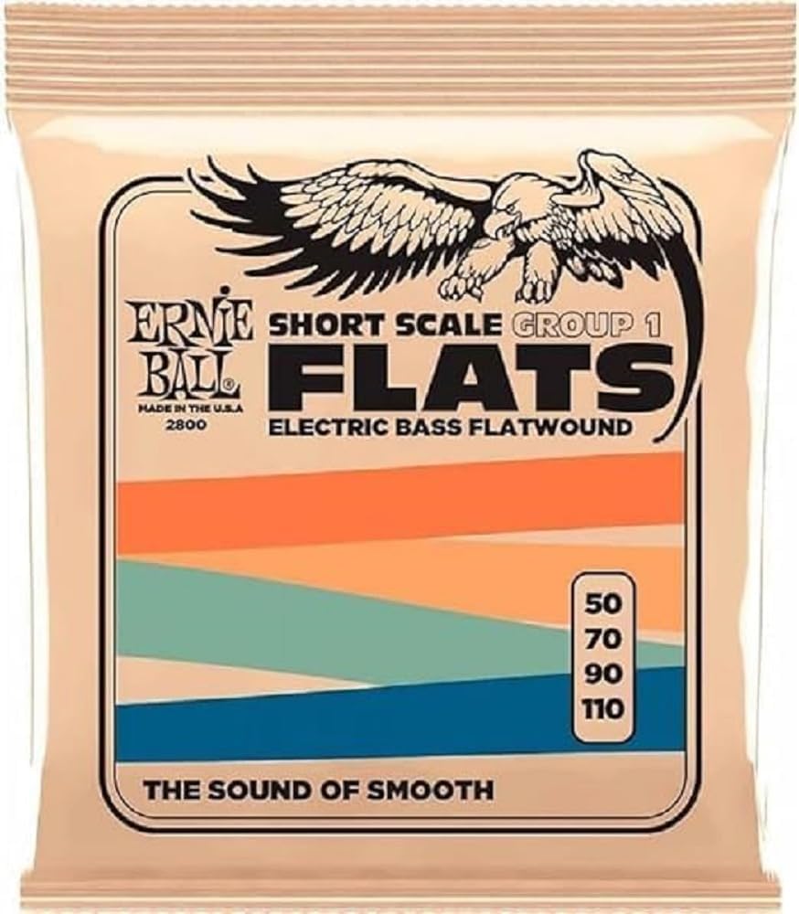 Ernie Ball Flatwound Short Scale Electric Bass Strings 50-110