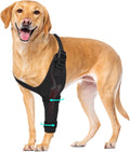 Dog Elbow Brace Sleeve - Breathable Adjustable Front Leg Support