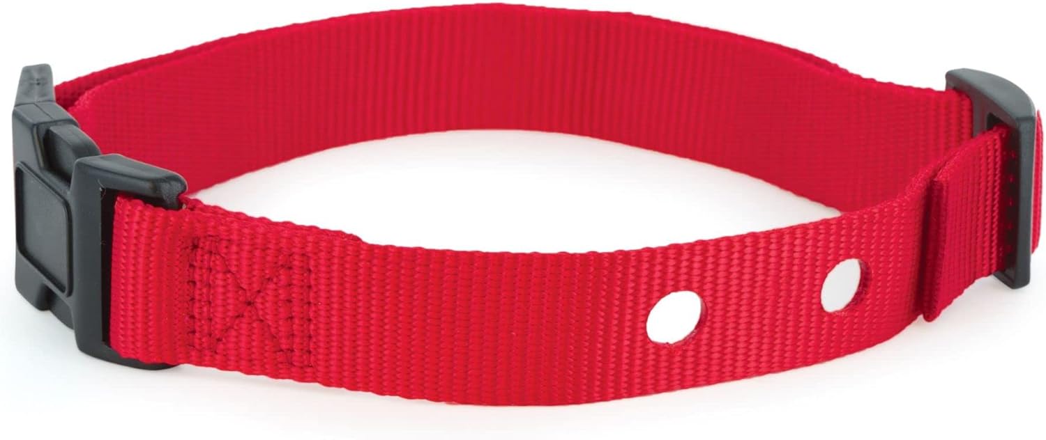 PetSafe 1 Inch Replacement Collar Strap - Enhanced Visibility for Safety