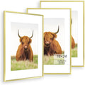 Elegant 16x24 Picture Frame Set of 3 for Stunning Displays
