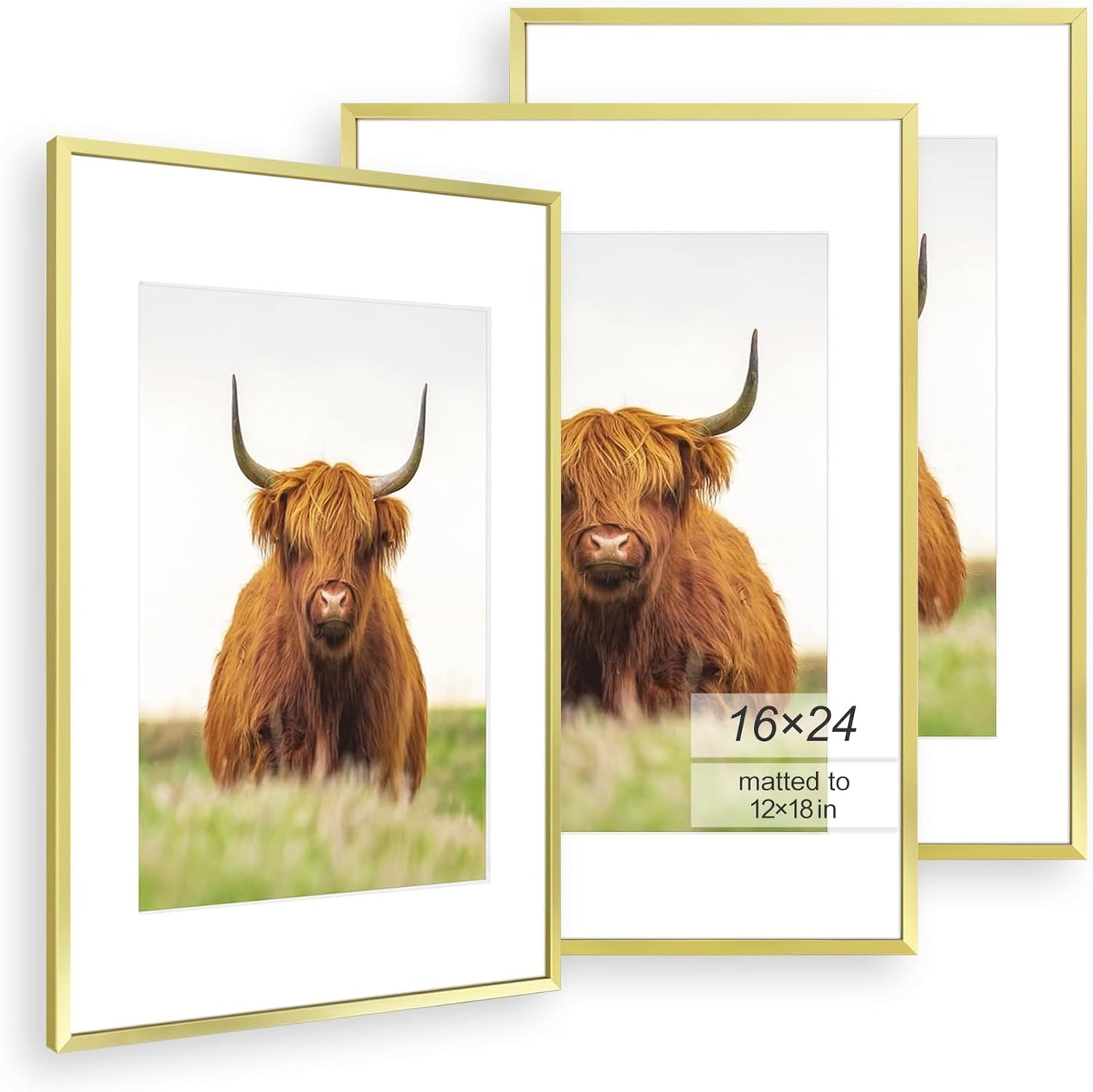 Elegant 16x24 Picture Frame Set of 3 for Stunning Displays