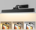 Picture Lights Wall Light 16in CCT Gallery Light - Battery, Remote
