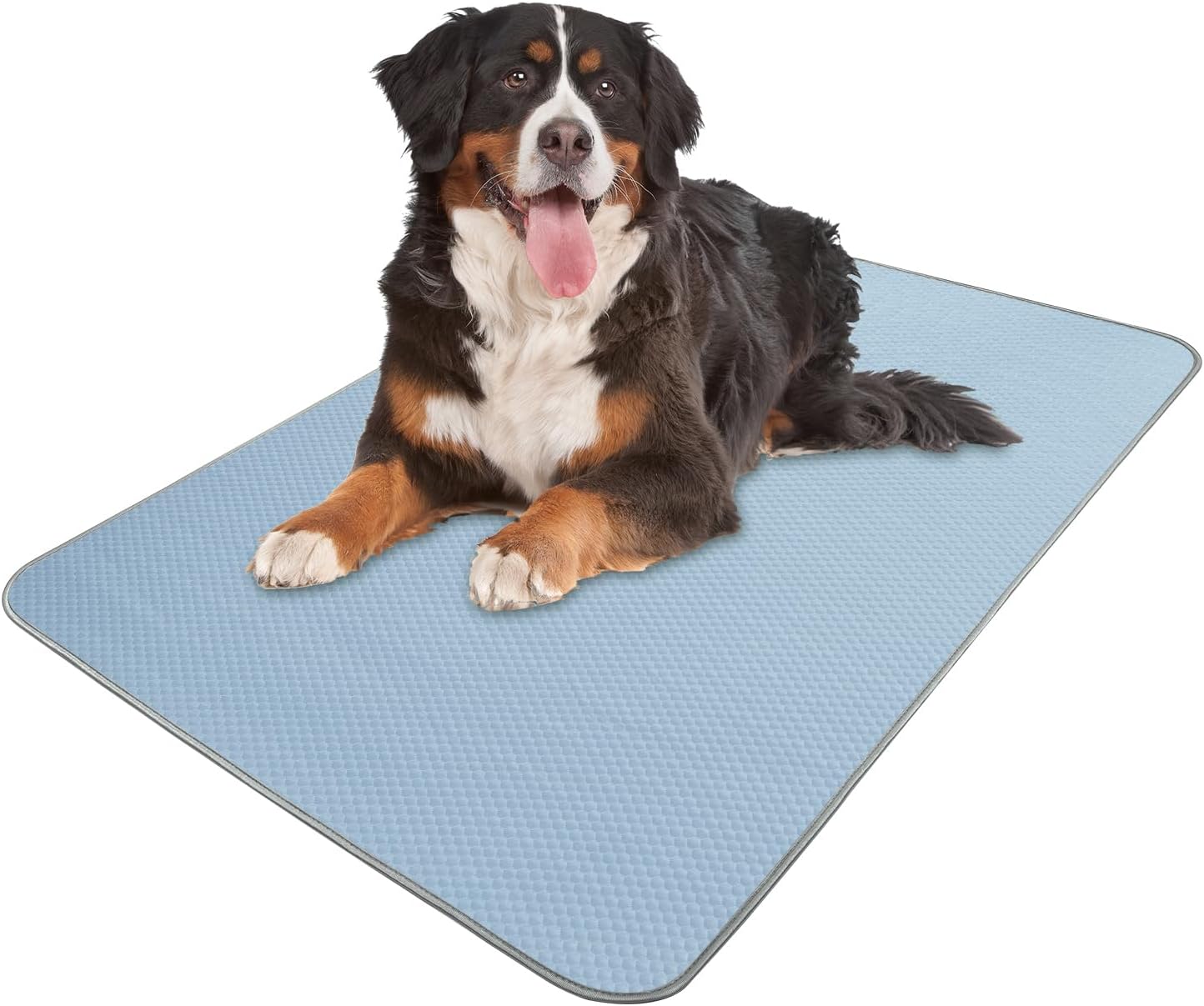 Summer Dog Cooling Mat for Large Dogs and Cats, 59x40in