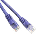 Cat6 Ethernet Cable 75 ft Purple - Reliable Gigabit Networking