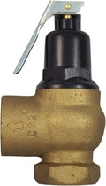 Cash Acme 3/4 x 1 Inch F-95 Iron Body Safety Relief Valve