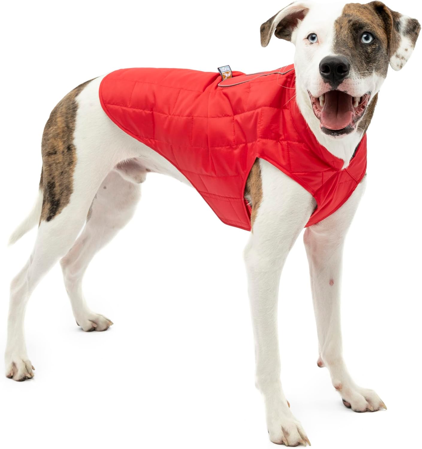 Kurgo Loft Dog Jacket - Reversible Cozy Coat for Active Dogs