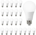 A19 Light Bulbs 100 Watt Equivalent 5000K Daylight LED - Energy Saving