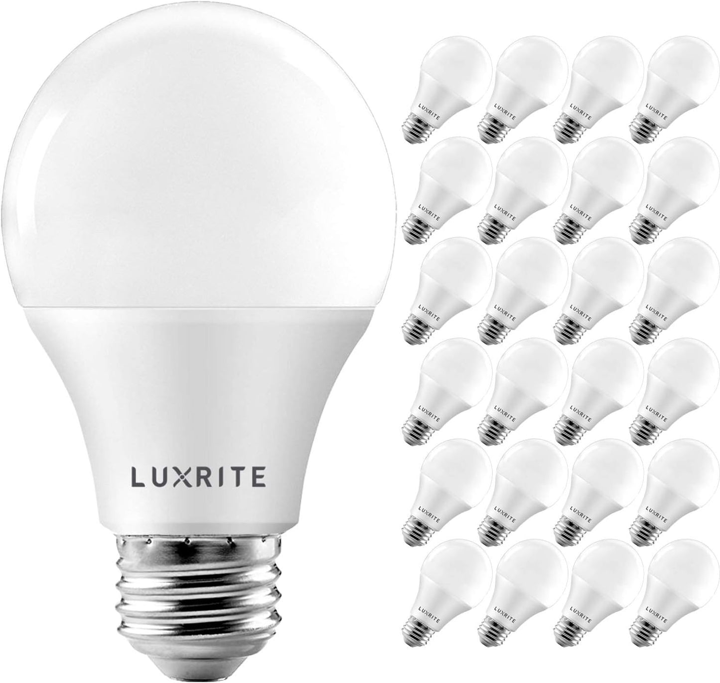 A19 LED Bulb 60W Equivalent, 800 Lumens, Dimmable, Energy Star