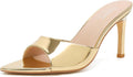 Susanny Women's Pointed Open Toe Mule Heels - Elegant Comfort