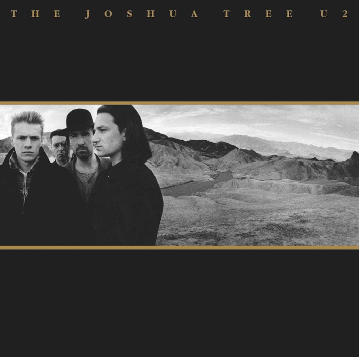 The Joshua Tree: A Stunning Exploration of Nature's Beauty