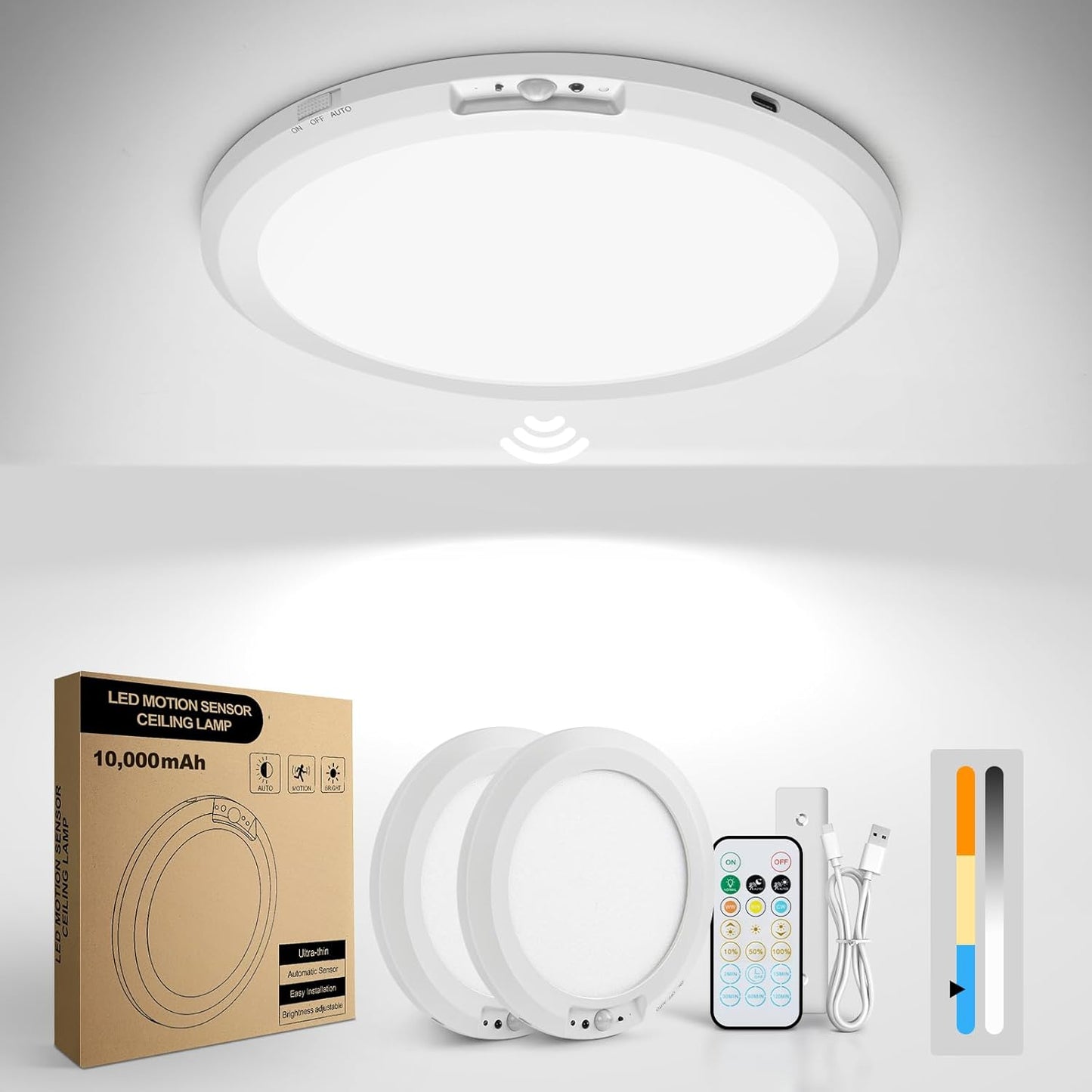 Rechargeable Motion Sensor Ceiling Light with Remote Control