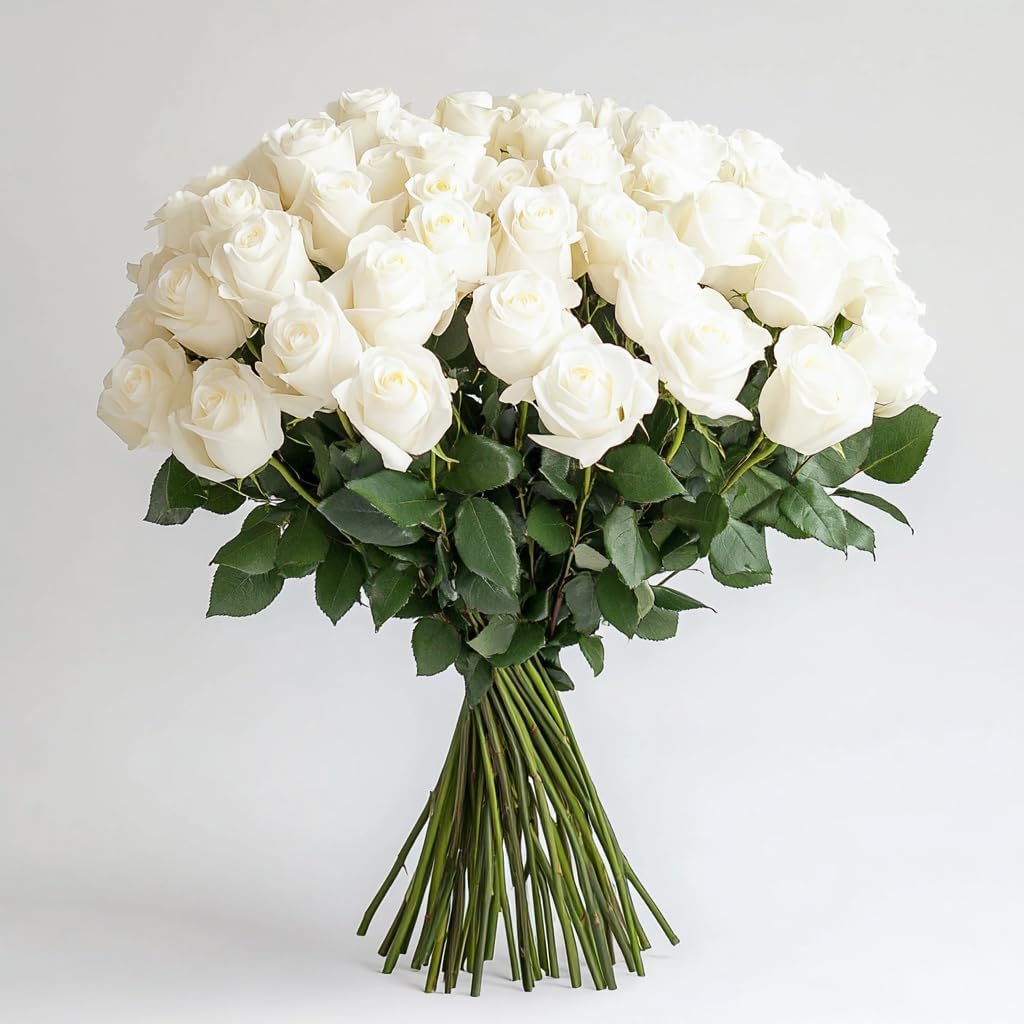 50 Fresh White Roses Bouquet for Graduation, Anniversary & More