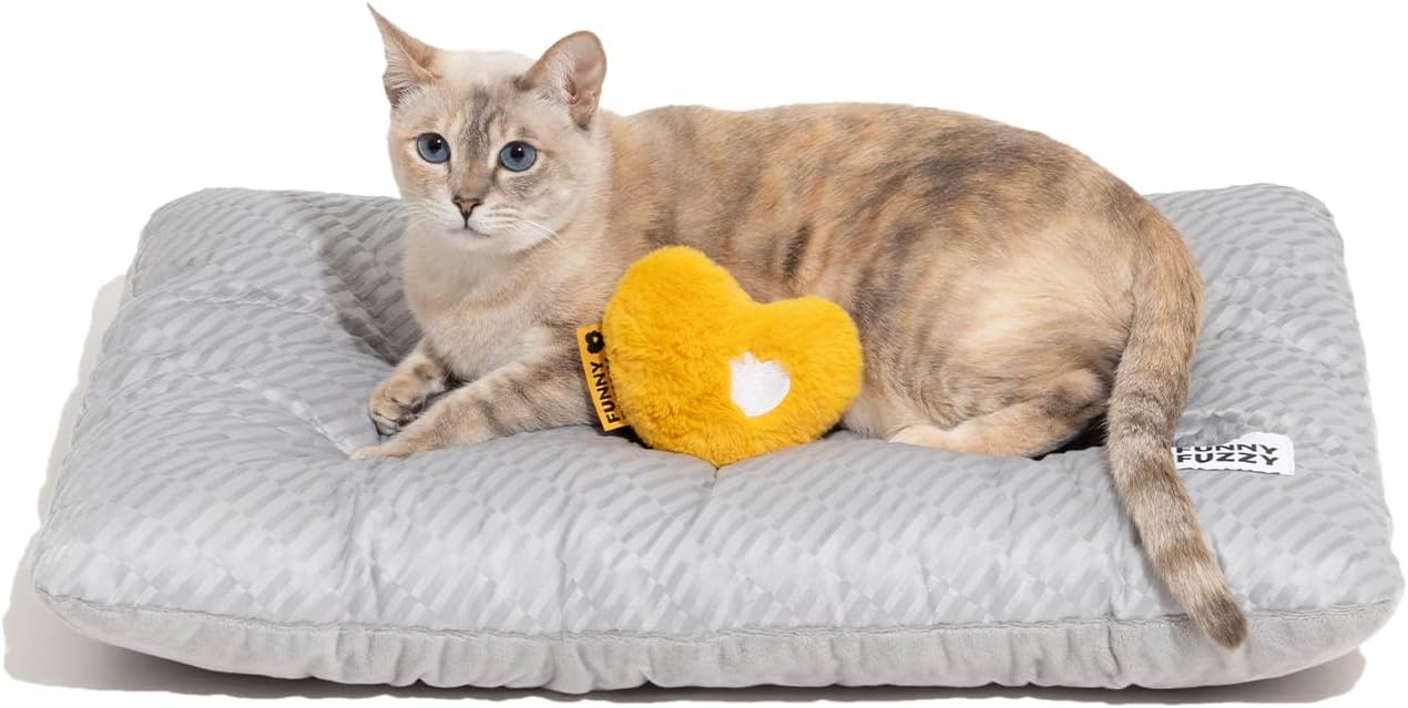 FUNNY FUZZY 2 in 1 Dog Bed Mat for Ultimate Pet Comfort