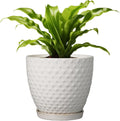 8 Inch Ceramic Plant Pot with Drainage Hole - Mid-Century Modern