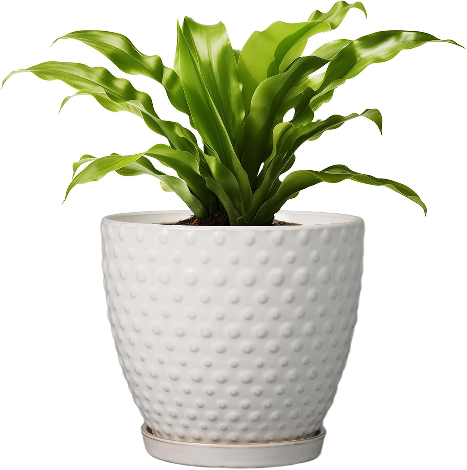 8 Inch Ceramic Plant Pot with Drainage Hole for Indoor Outdoor Use