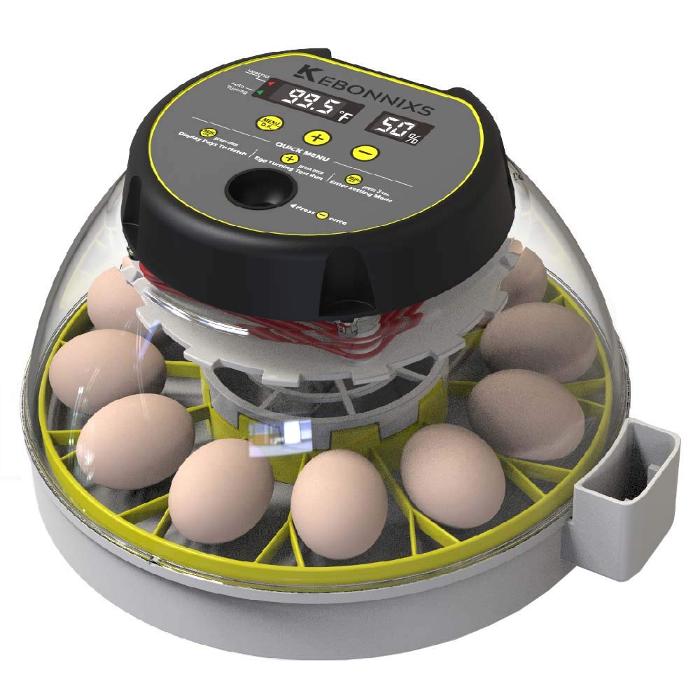 12 Egg Incubator with Humidity Display and Automatic Turner
