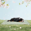 Cooling Mat for Dogs Ice Green 59x40in - Large No Gel Cooling Mat