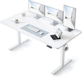 BANTI 63 28 in Standing Desk - Electric Height Adjustable Sit-Stand
