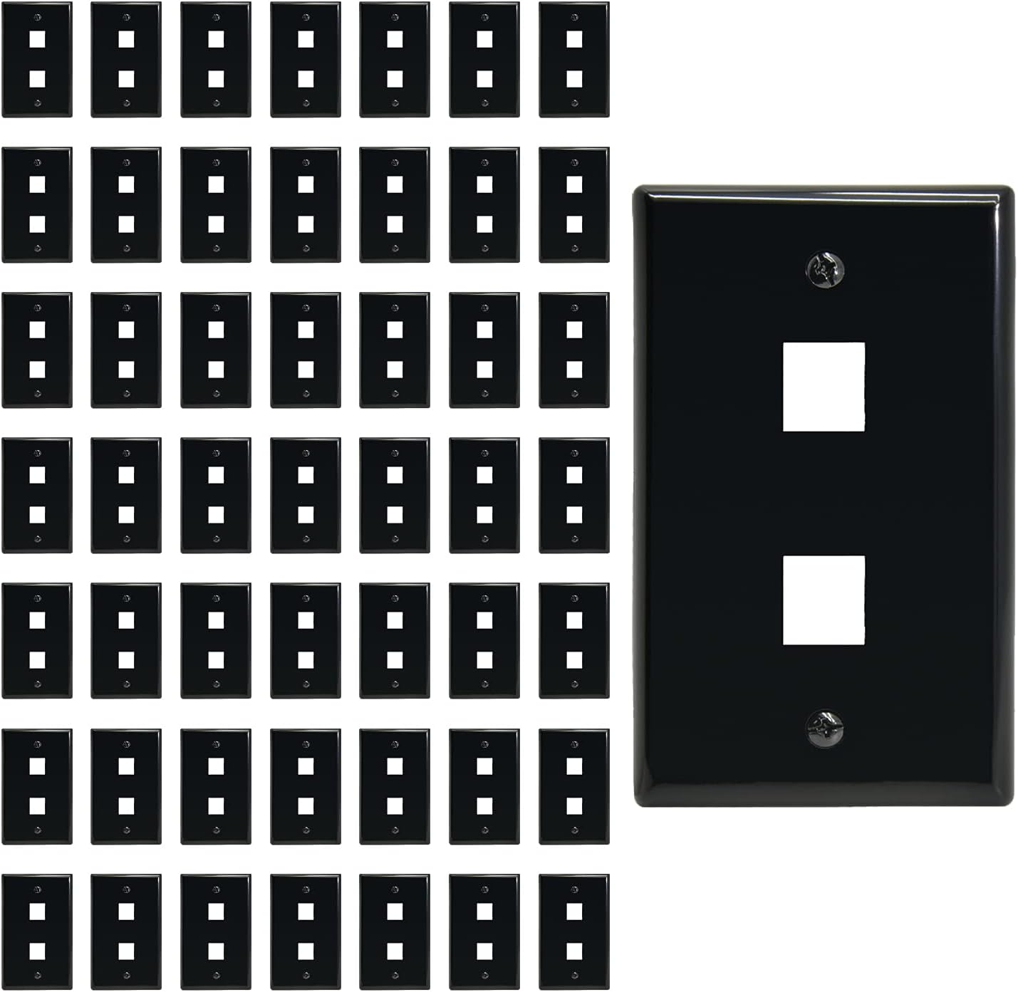 2 Port Keystone Jack Wall Plate for Professional Network Installations