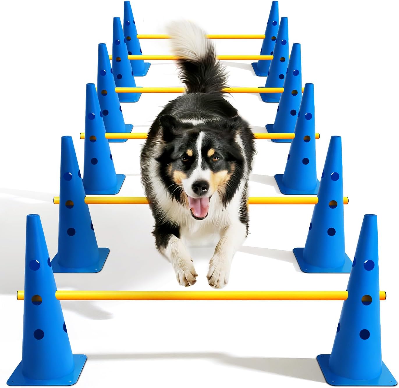 Dog Agility Course Backyard Set for Rehabilitation & Beginners
