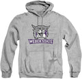 College Distressed Logo Hoodie for Ultimate Fan Comfort