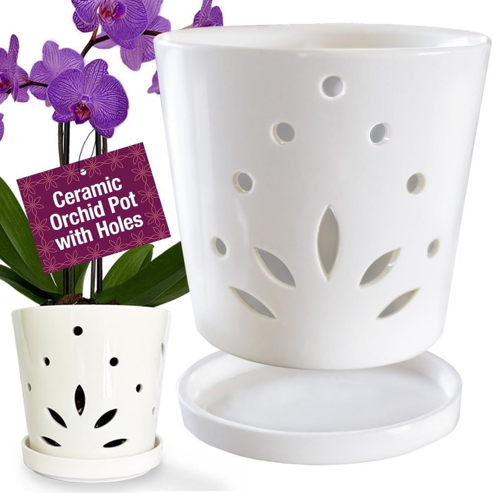 Atri Orchid Pot with Holes: Stylish 6.5in Ceramic Planter