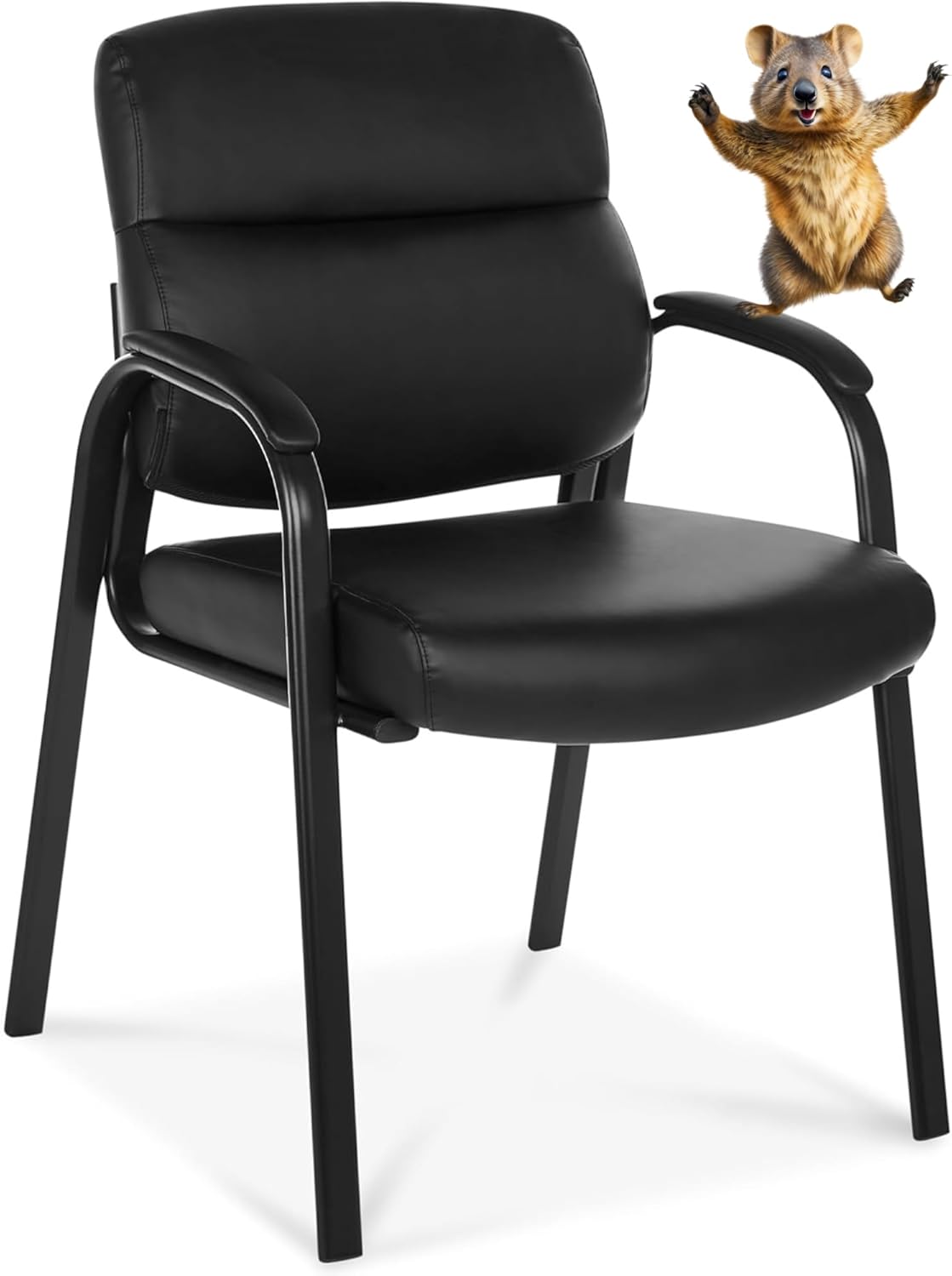 Oline Leather Guest Chair for Comfort in Office and Home Use