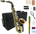 Alto Saxophone Eb for Beginners - Complete Kit with Case