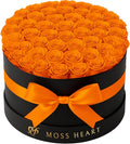 50 Preserved Roses for Women in Round Designer Box - Orange Eternal