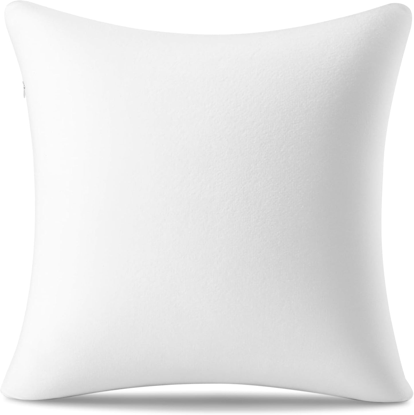22 x 22 Inch Memory Foam Pillow Insert for Decorative Cushions