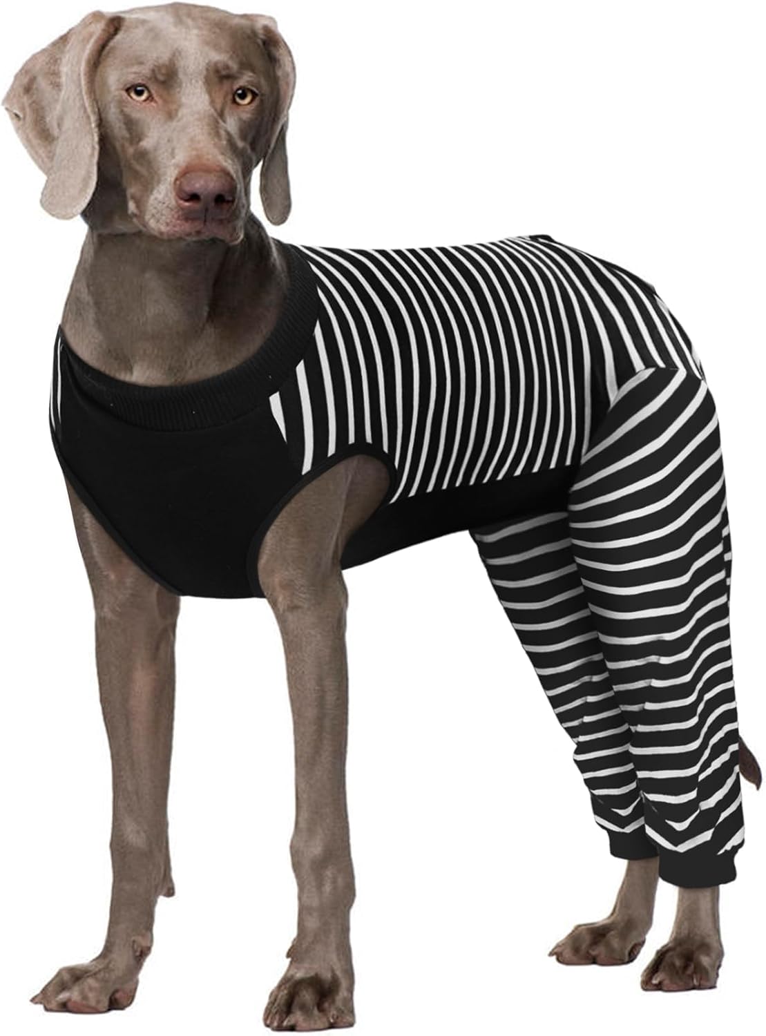 Kuoser Dog Recovery Suit for Post-Surgery Comfort and Protection