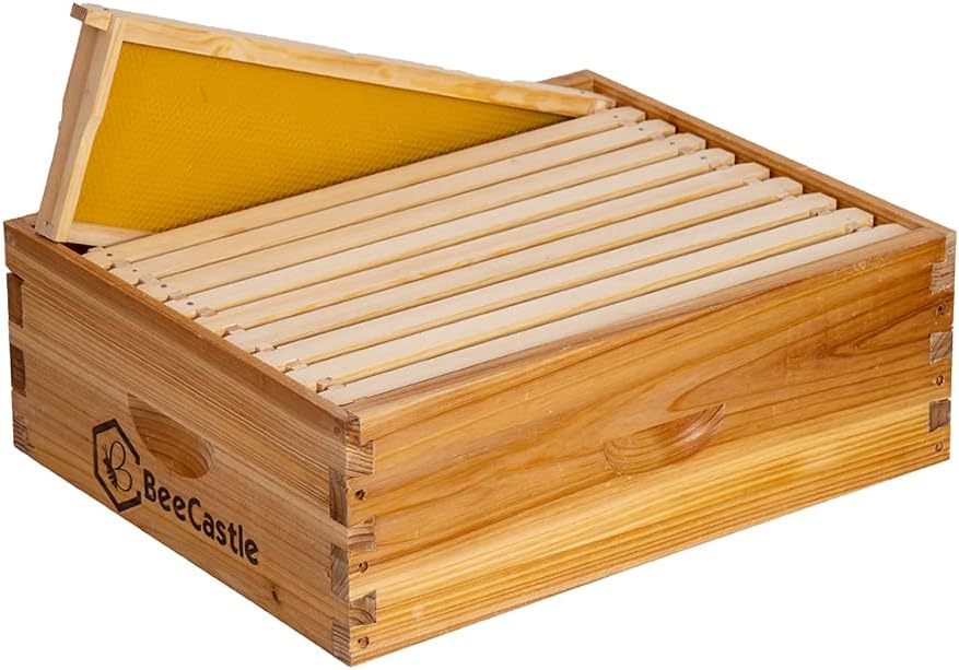 BeeCastle 10 Frame Medium Super Bee Hive Box for Beekeepers