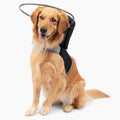 Muffins Halo The Original Blind Dog Halo - Head Protection