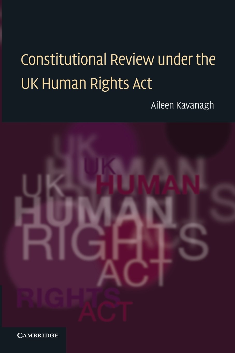 Constitutional Review under the UK Human Rights Act Explained