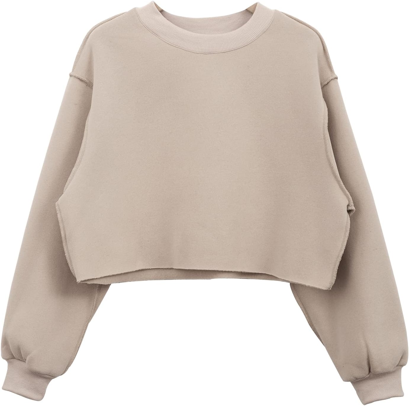 Amazhiyu Cozy Fleece Crop Sweatshirt