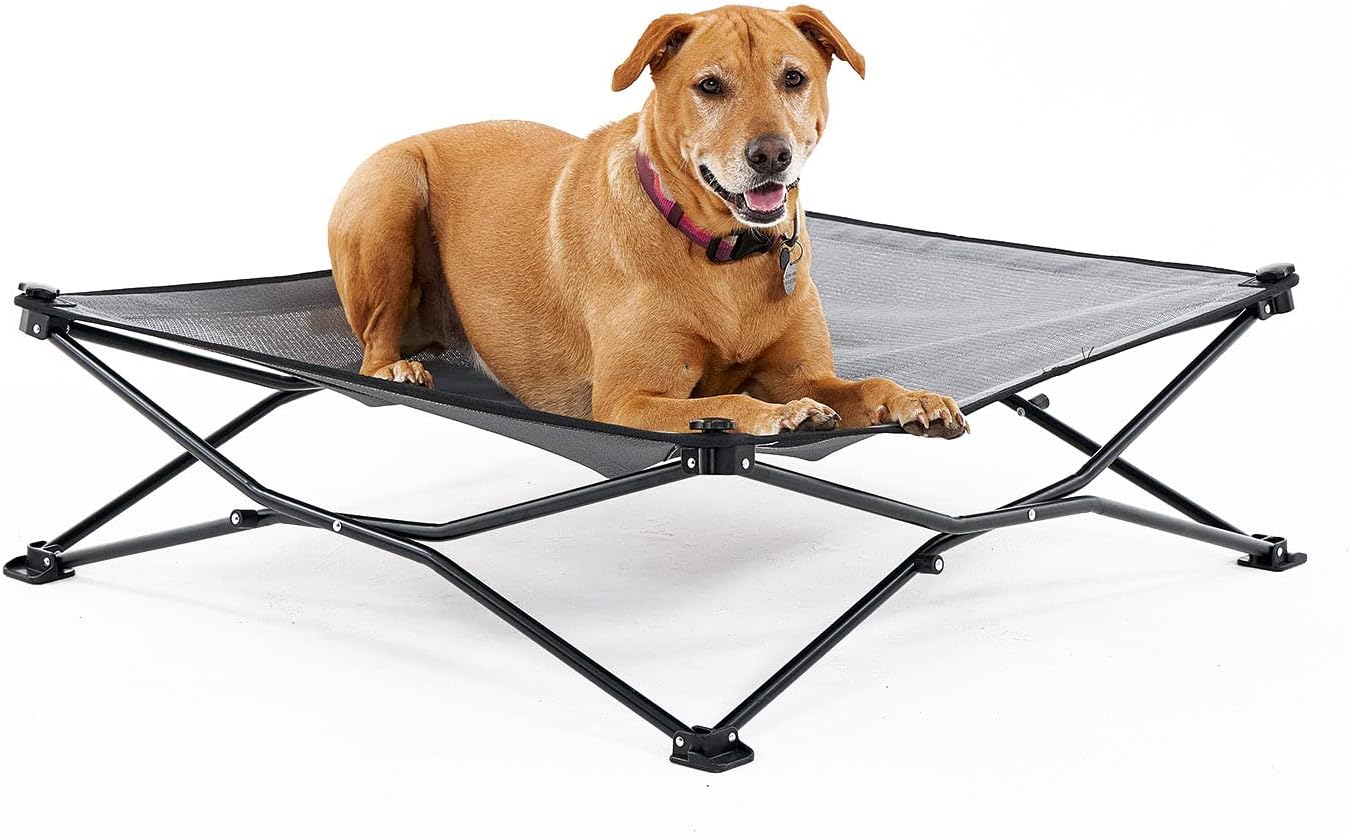 Coolaroo On-The-Go Elevated Dog Bed for Travel Comfort
