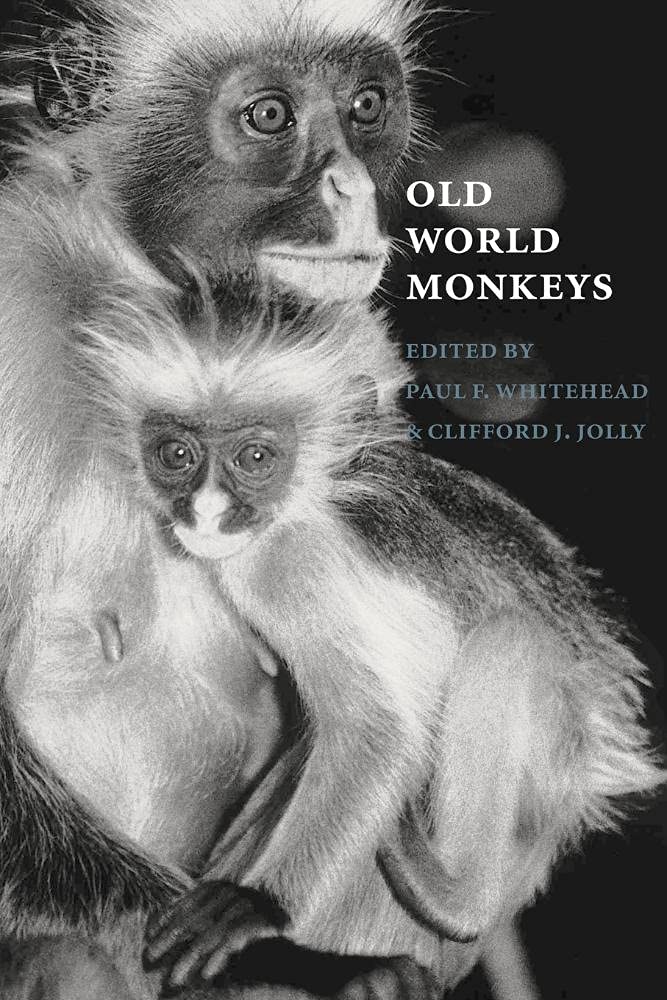 Old World Monkeys: A Comprehensive Guide to Their Behavior