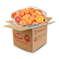Mixed Citrus Gift Box 30 Piece - Fresh Oranges & Grapefruit