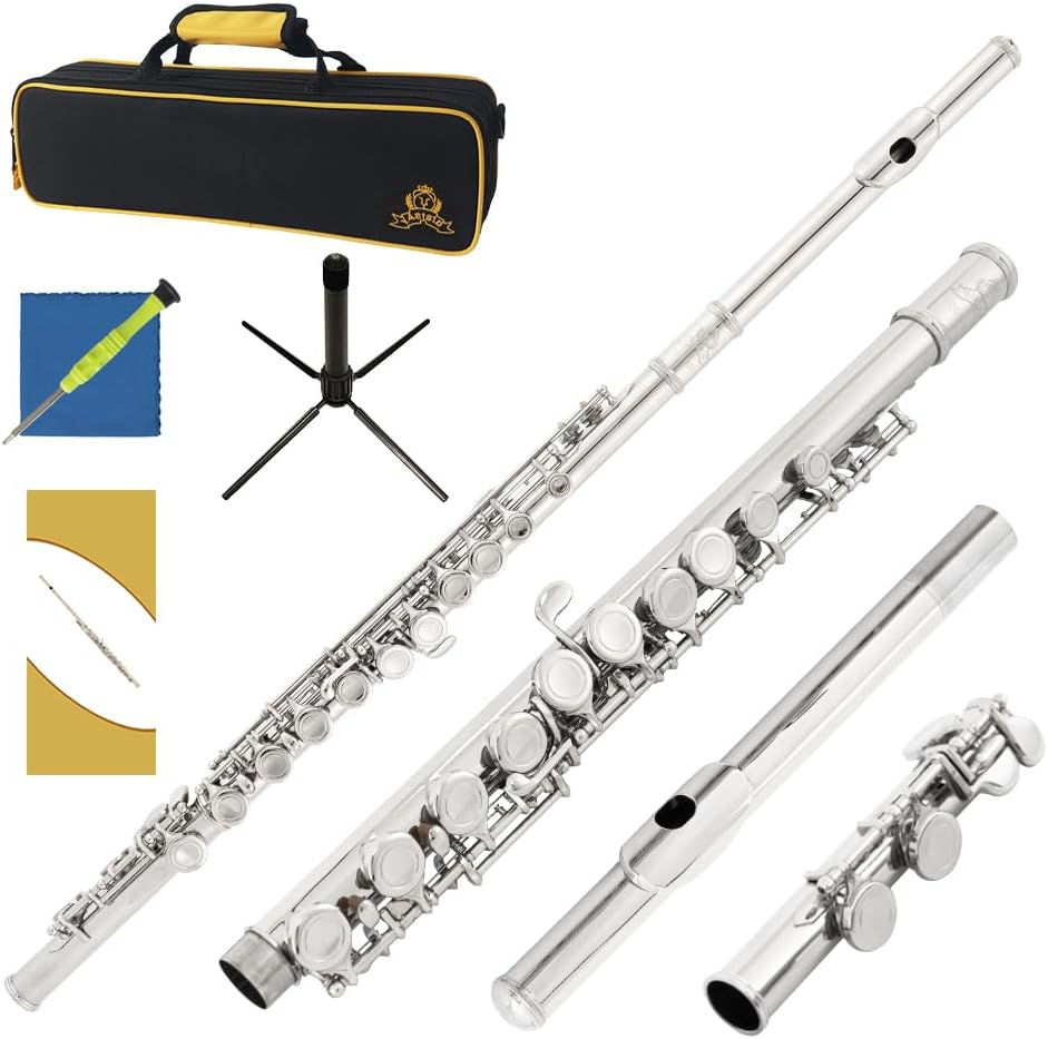 Closed Hole C Flute for Beginners with Accessories and Kit