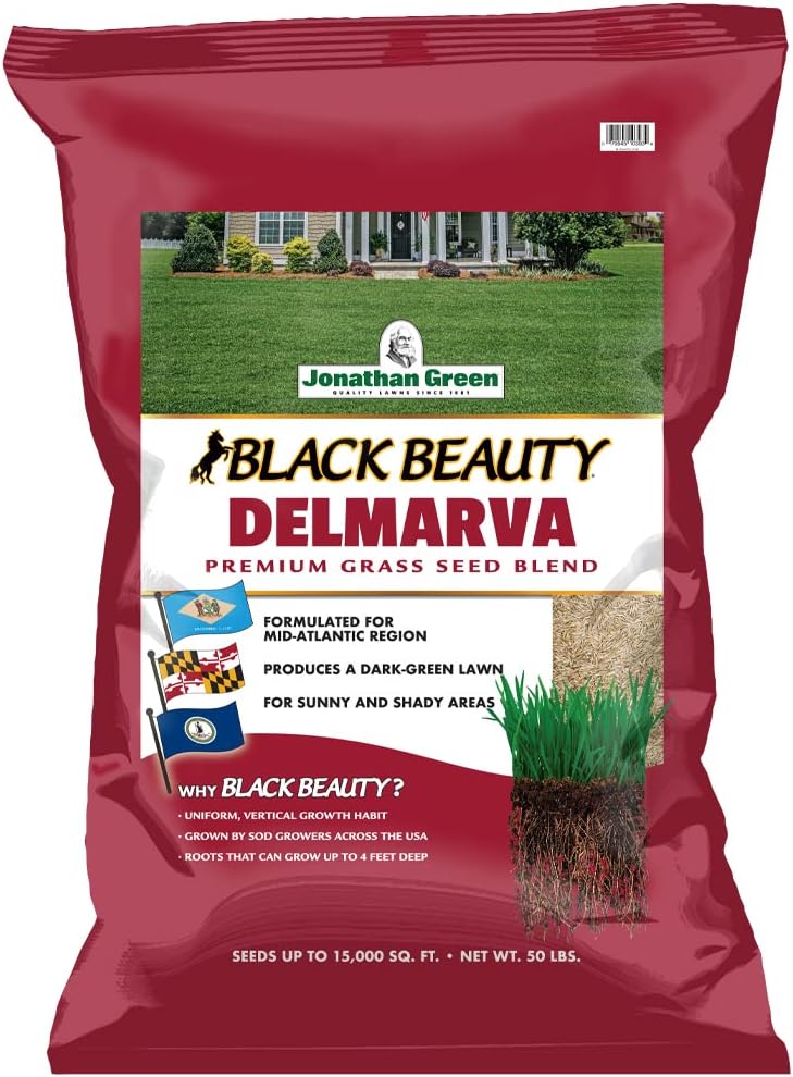 Black Beauty Delmarva Grass Seed Mix for Cool Season Lawns