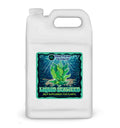 Liquid Seaweed for Plants Gallon - Concentrated Kelp Supplement