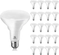 Energetic BR30 LED Recessed Light Bulb 9W=75W, 5000K Daylight